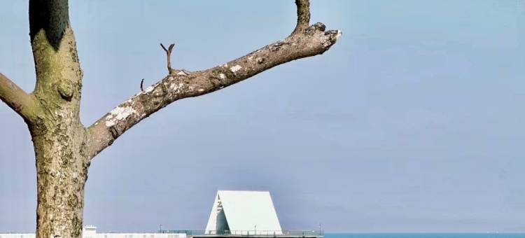 陪你看海海景公寓图片