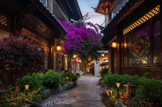 丽江古城·山水爱斯花园酒店(四方街店)图片