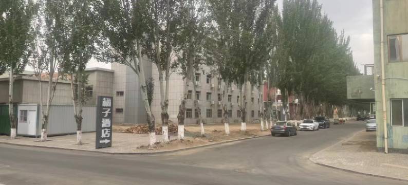 包头橘子酒店(赛罕塔拉城中草原店)图片