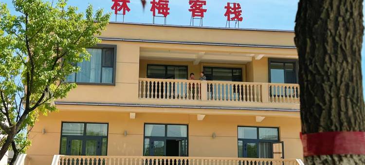 库尔德宁林梅客栈图片