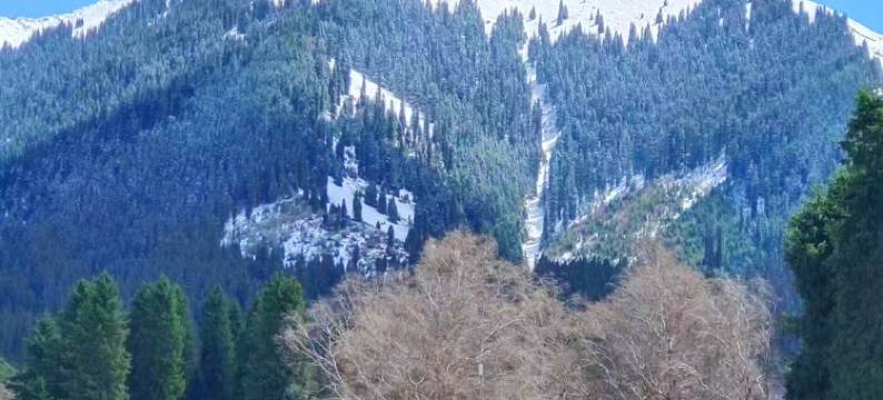 琼库什台雪杉度假民宿图片