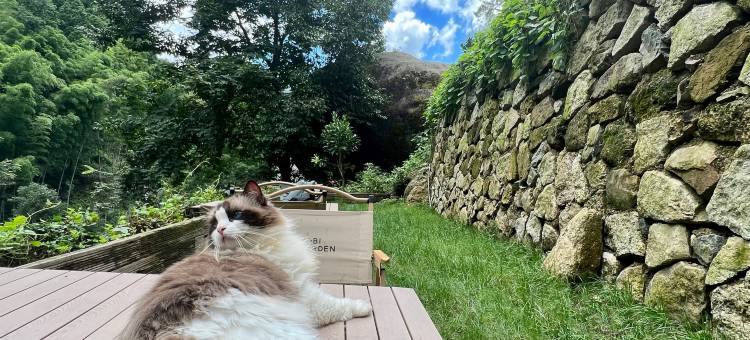 三清山步云民宿(港首索道店)图片