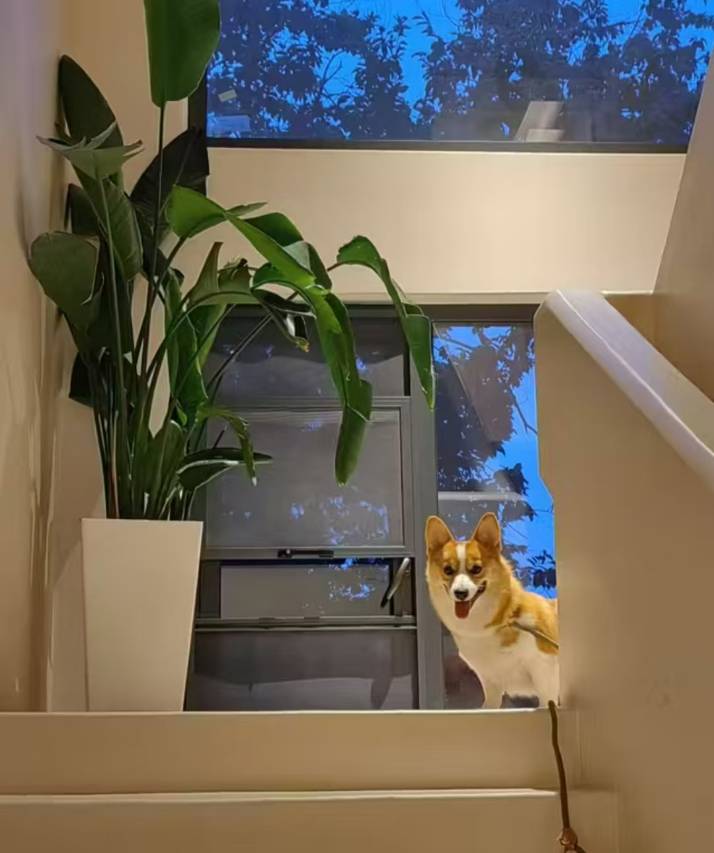 花筑奢·入山(宜兴廿三湾店)图片