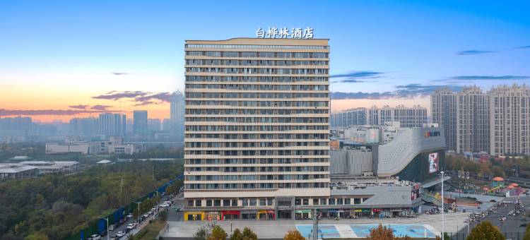 白桦林酒店(荥阳吾悦广场郑州西站店)图片