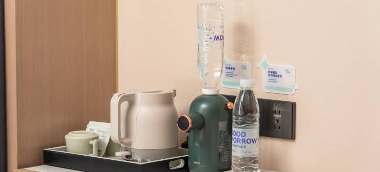 麗枫酒店(东莞常平南站百花时代广场店)图片