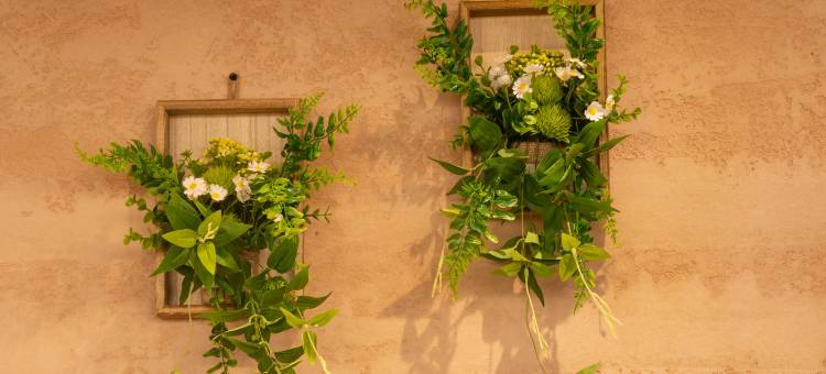 逆时光青年旅舍(宽窄巷子店)图片