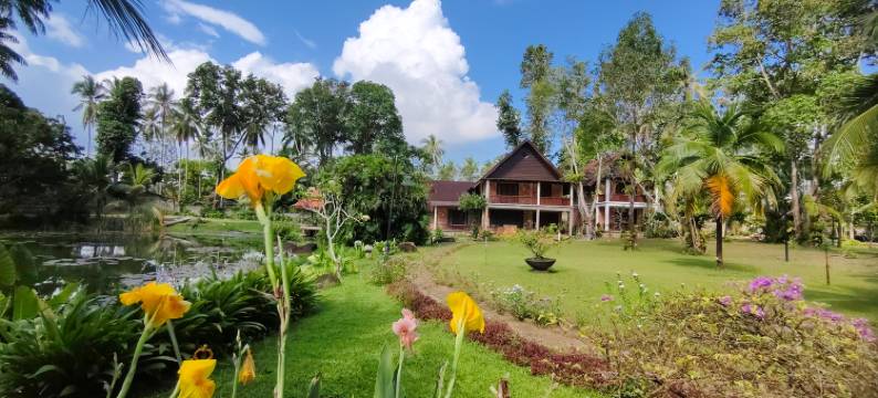 丹绒旅馆(Tanjung Inn)图片