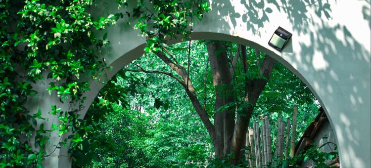 咕咚夫妇的小院图片