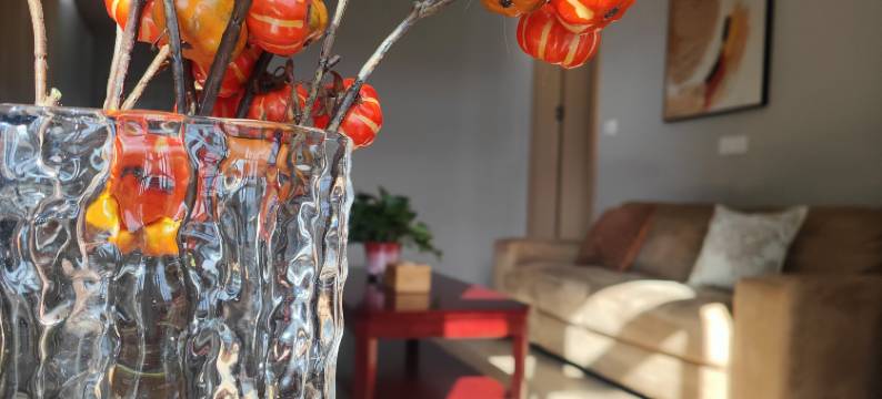 桐庐浮玉酒店(天目溪公园店)图片