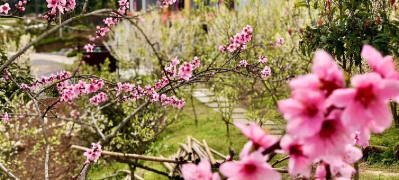 绝壁驿栈(朝东岩绝壁栈道店)图片