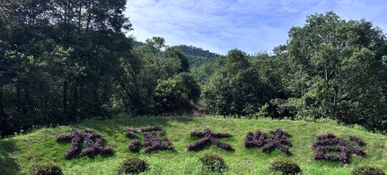 浏阳山涧静墅民宿图片