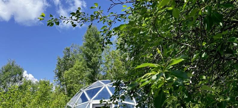 阿尔山奥伦布坎自驾车营地酒店图片