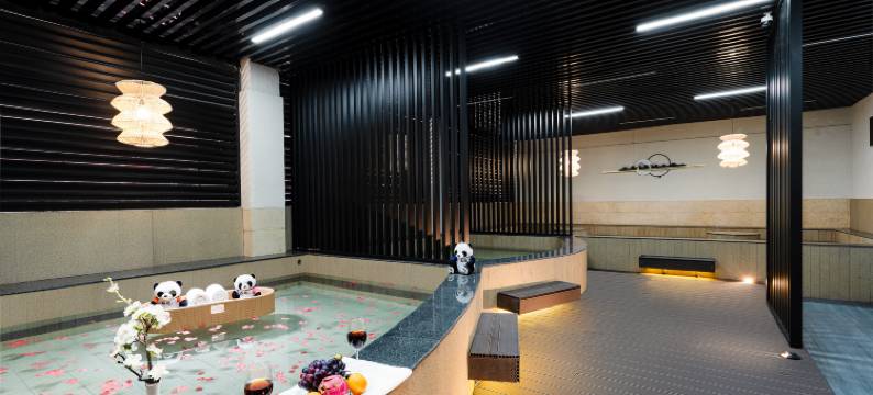 ElstayHotel上丞.汤泉酒店(峨眉山高铁站报国寺店)图片