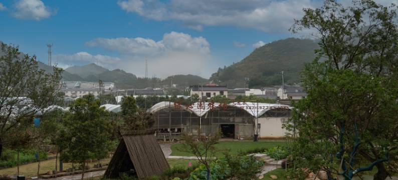 林远度假酒店(泾县皖南川藏线店)图片