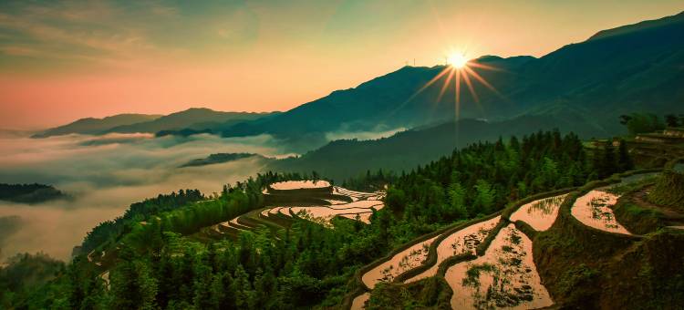 遂川桃源梯田洞穴酒店图片