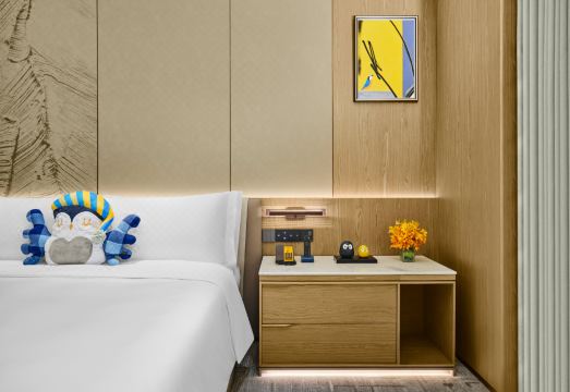 voco Chengdu Jiuyanqiao Hotel Overview