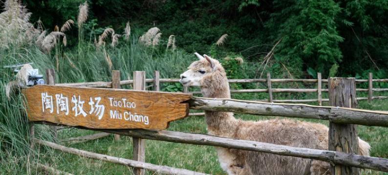雅安·凤鸣雅集·酒店图片