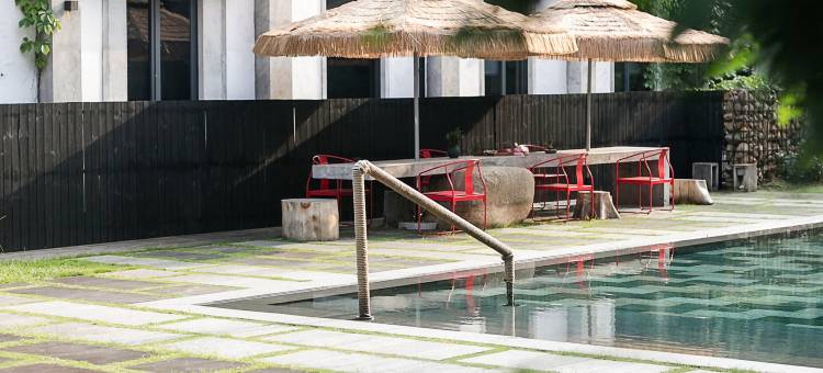 花筑奢·喜柿见·悦隐禾集·茶文化主题民宿图片