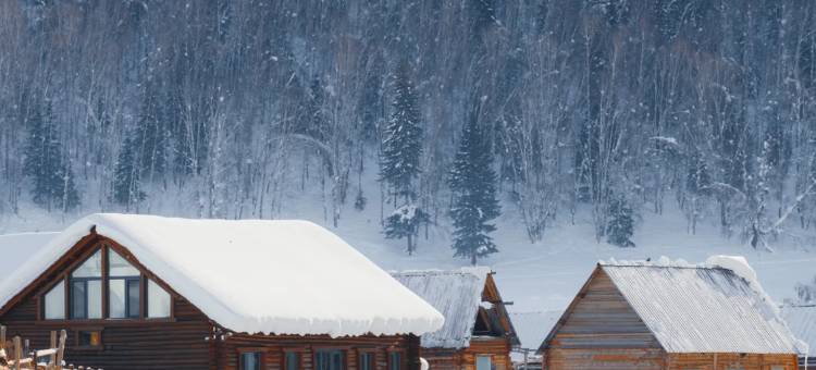 深山见•山野如许•自然美学花园庭院民宿(白哈巴老村店)图片