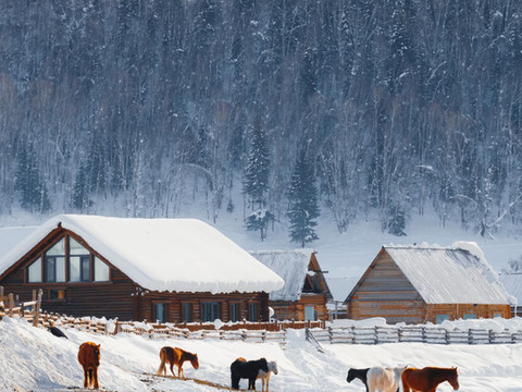 深山见•山野如许•自然美学花园庭院民宿(白哈巴老村店)