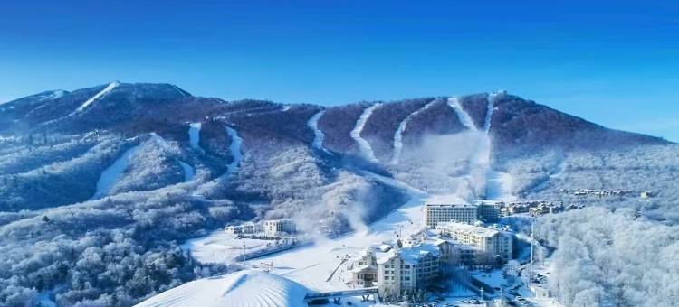 望山度假大酒店(亚布力滑雪场店)图片