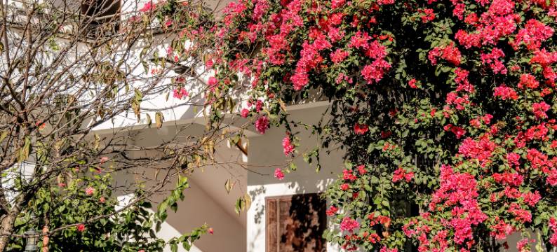 聆海·Chance Encounter庭院花园度假民宿(洱海S湾生态廊道店)图片