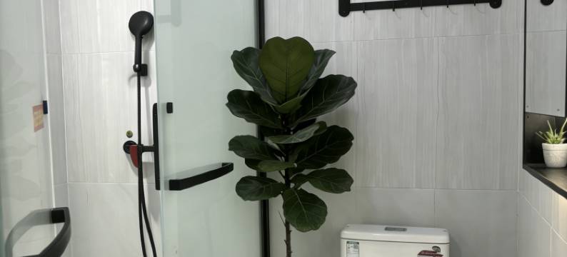 尚客优酒店(兰州新区大学城店)图片