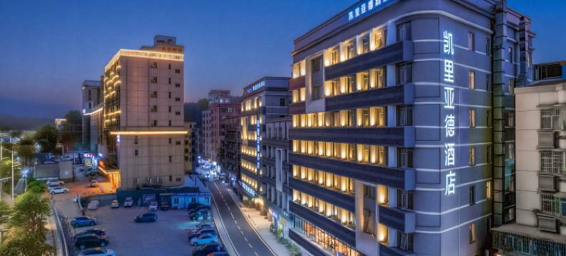 凯里亚德酒店(深圳中山大学圳美地铁站店)图片