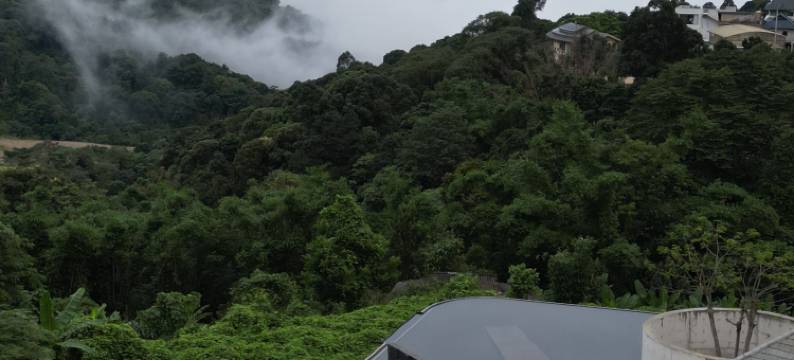 西双版纳匠庐·南糯山图片