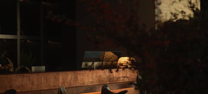 珩邸•古道神泉文化酒店(丽江古城大水车店)图片