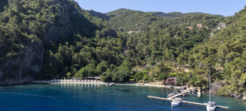 Yazz 集体(Yazz Collective)图片