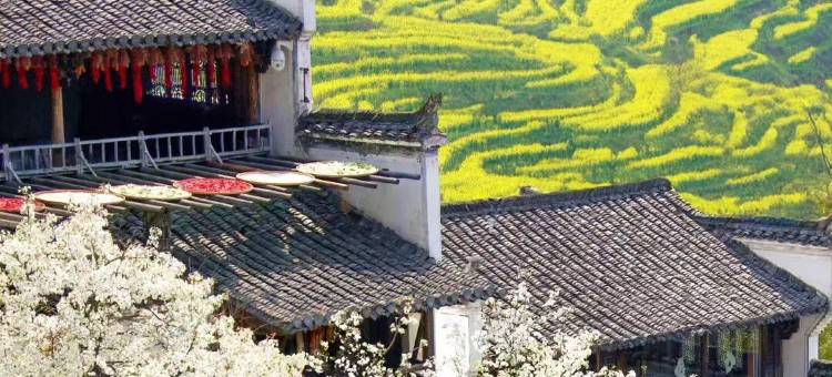 归晓·吟禾高端美学晒秋定制美宿(篁岭景区店)图片