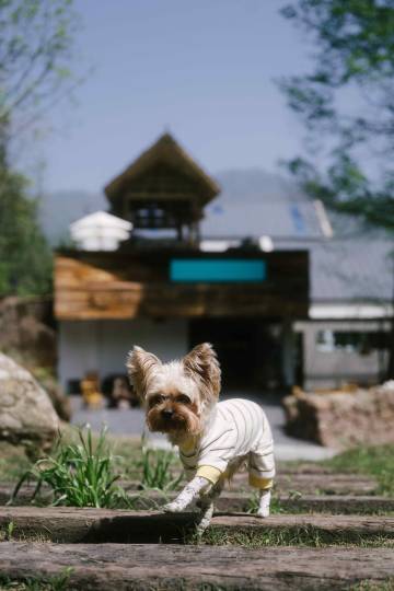 栗下安隐·luxury私汤民宿(青城山店)