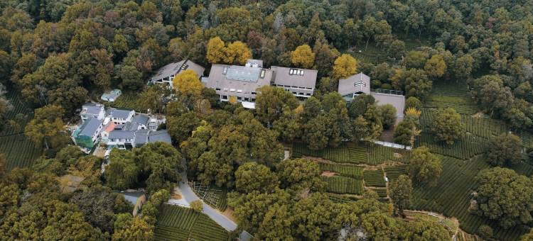 杭州梅景景澜龙井山房图片