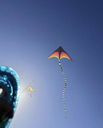 携程度假农庄(日照岚山联营店)图片