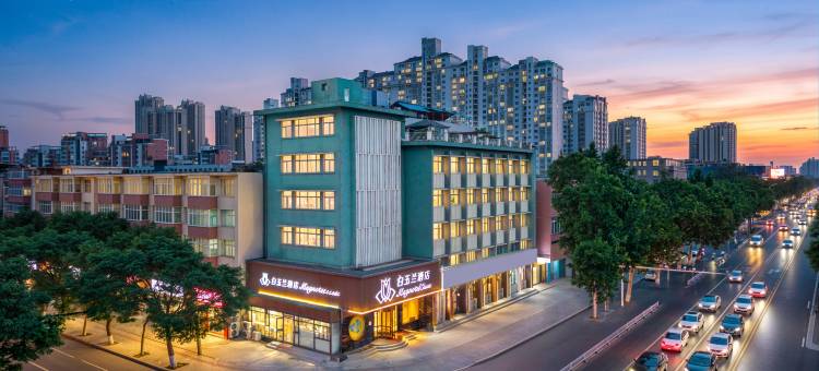 白玉兰酒店(新乡DL胖东来·大胖店)图片