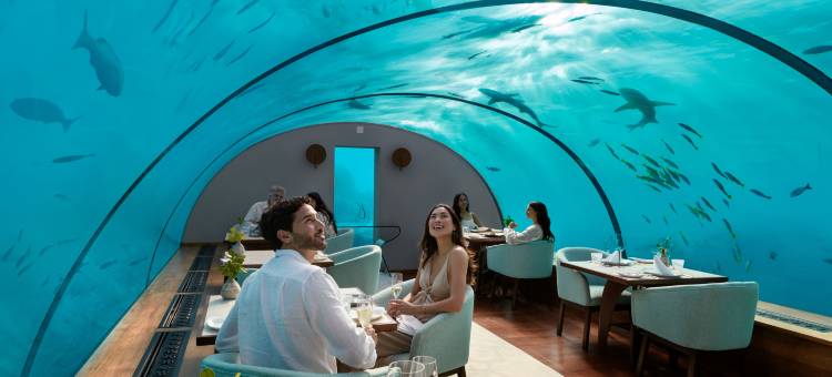 马尔代夫伦格里岛康莱德酒店(Conrad Maldives Rangali Island)图片