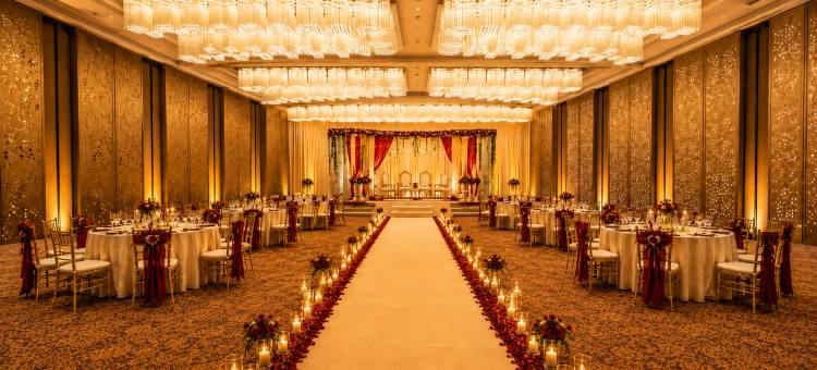 印多尔普莱德广场酒店(Pride Plaza Indore)图片