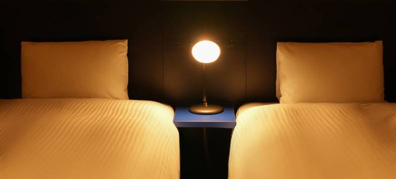 东京秋叶原N+酒店(N+HOTEL Akihabara)图片