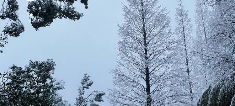 隐林·莫干山半山美宿图片