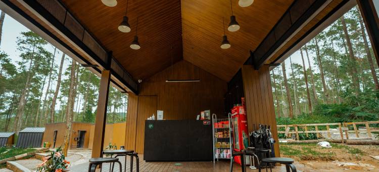Bobocabin Cikole, Bandung图片