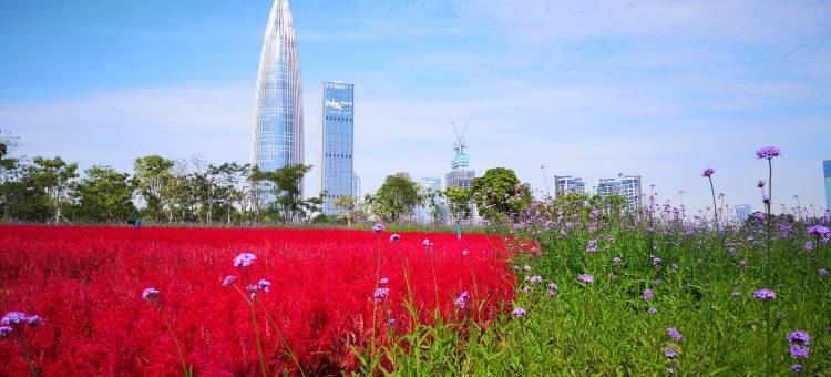城家公寓酒店(深圳南山地铁站店)图片