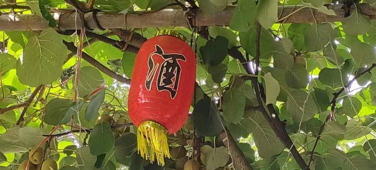 金华桂花苑民宿(双龙洞景区店)图片
