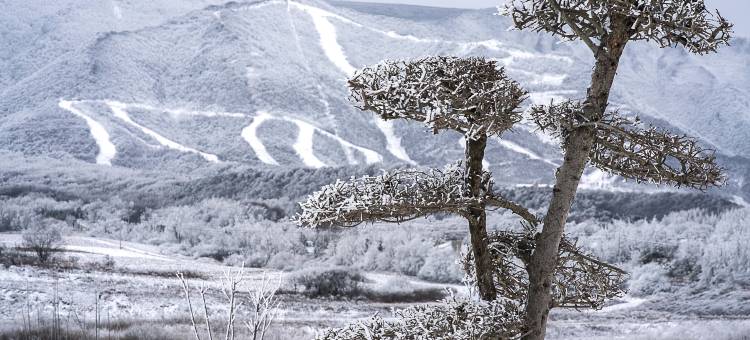 太白·望鳌山丨温泉私汤·山景美学度假民宿酒店(鳌山度假区店)图片