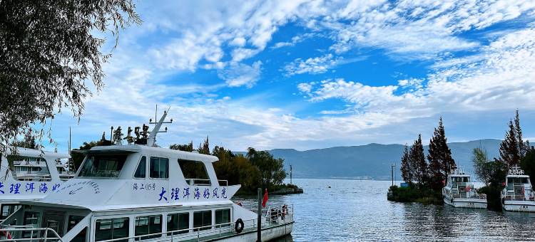 云上月·Cloud Moon栖野美宿(大理洱海才村店)图片