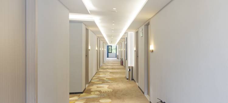 雨林居酒店(西双版纳勐腊客运站店)图片