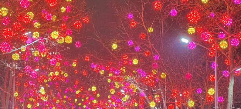 罗兰酒店(郑州中原万达二砂地铁站店)图片