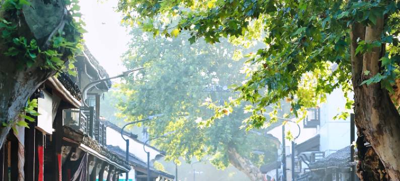 绍兴拾贰朴宿(鲁迅故里店)图片