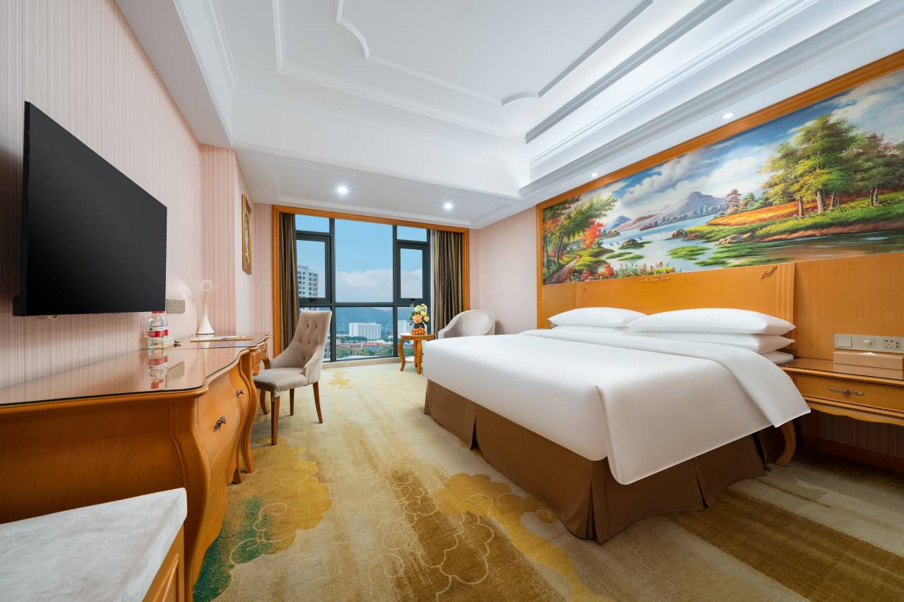 维也纳国际酒店(百色高铁站店)图片