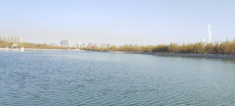 嘉峪关嘉世豪酒店(大唐美食街店)图片